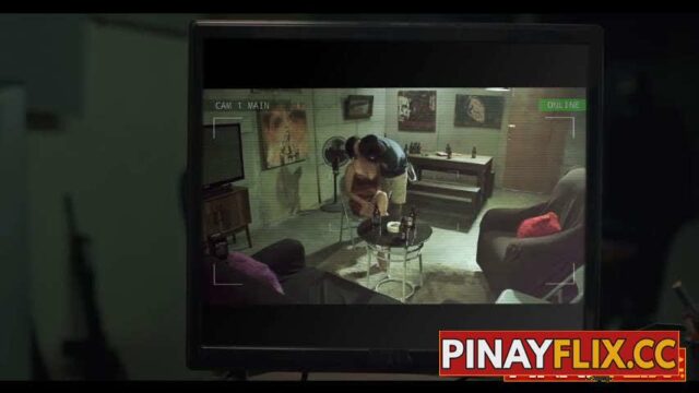 Live Streaming Investigation