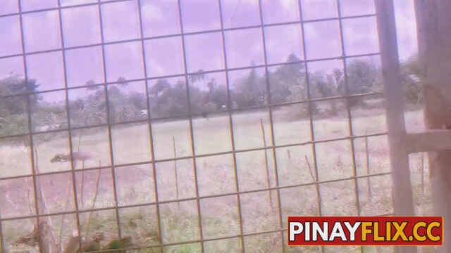 Sa Bukid Kung Saan Ang Kalabaw ay Tahimik na Nag-aararo