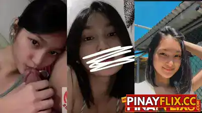 Shorthair chinata na may pagka manyakis